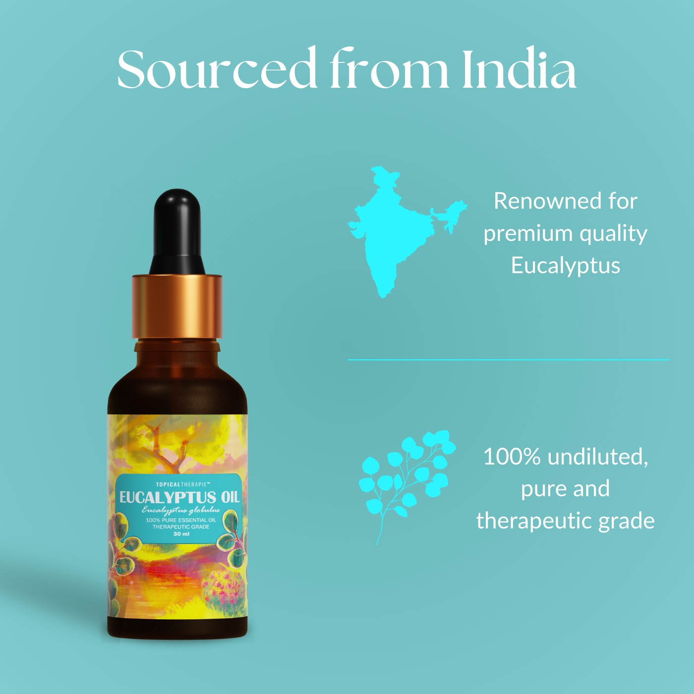 Clean and minimalist presentation of a eucalyptus essential oil bottle on a plain backdrop