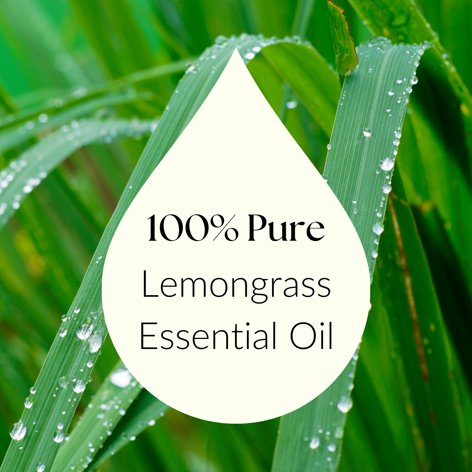 Lemongrass oil product showcasing clean and minimalist design