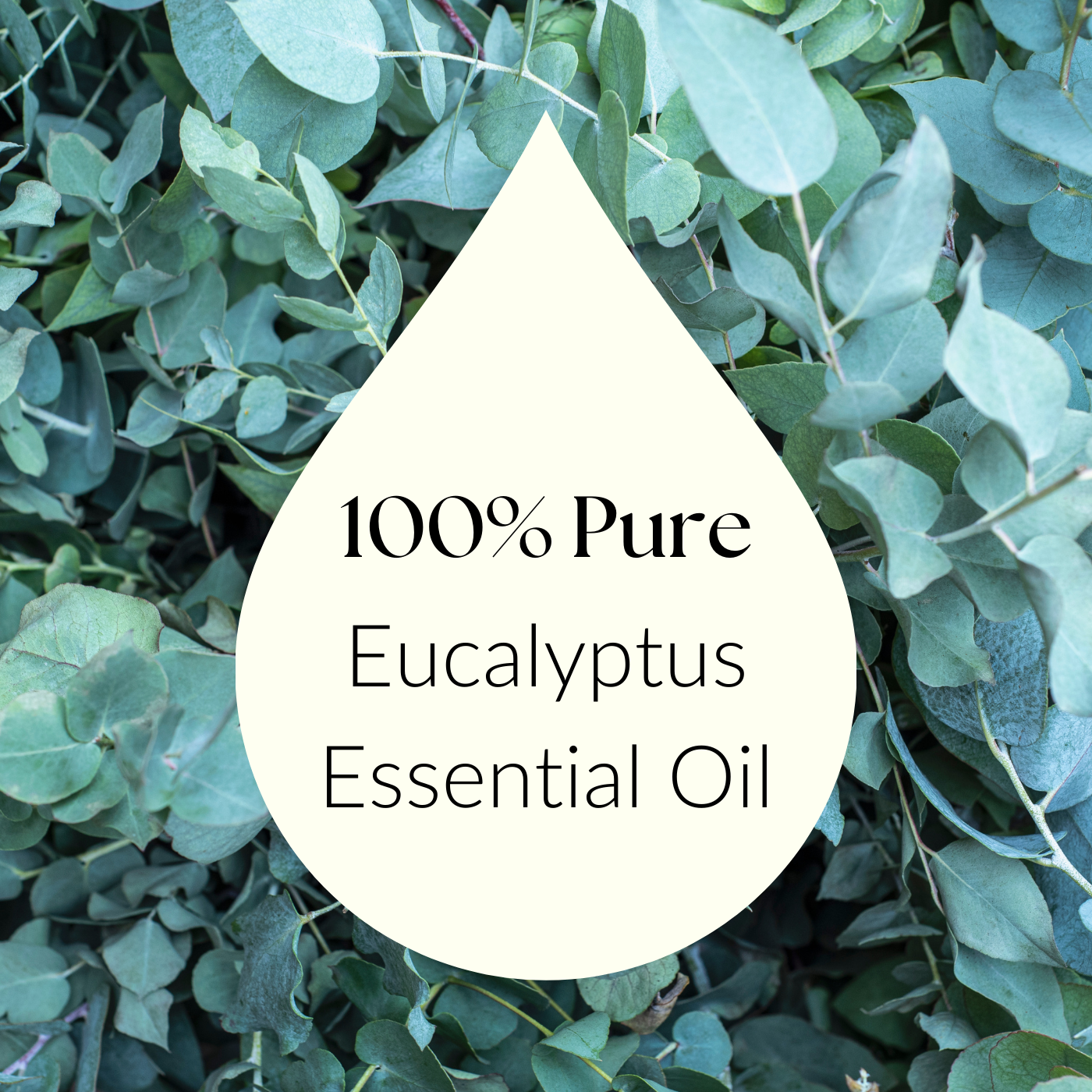 Eucalyptus oil with sleek, professional branding on a neutral surface
