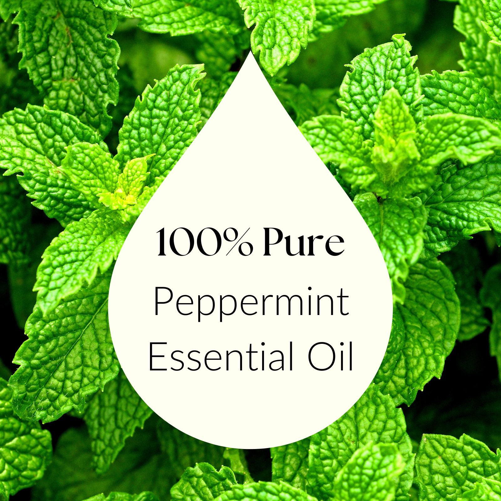 High-quality peppermint essential oil, designed for natural wellness and soothing effects