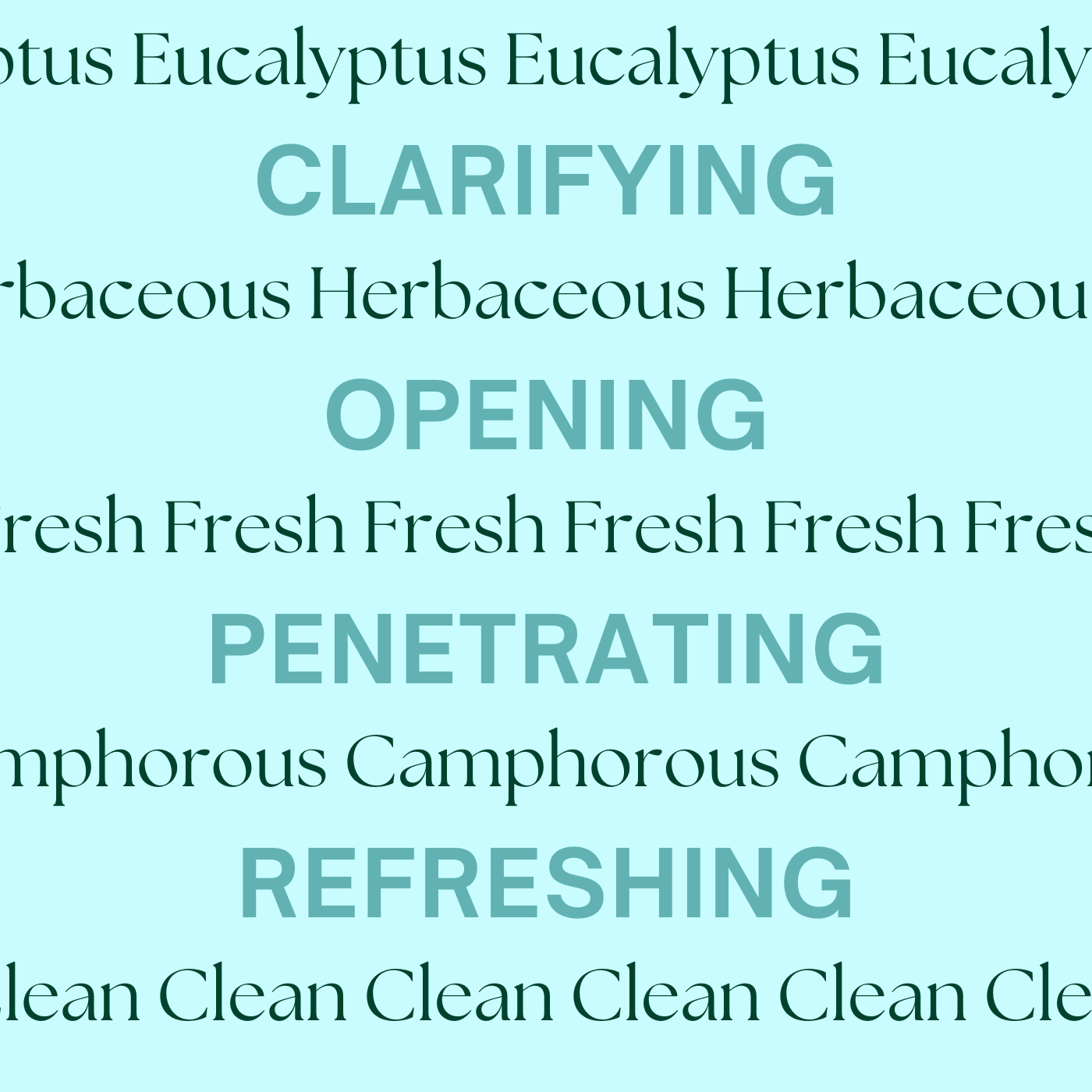 Eucalyptus essential oil bottle featuring elegant, natural design