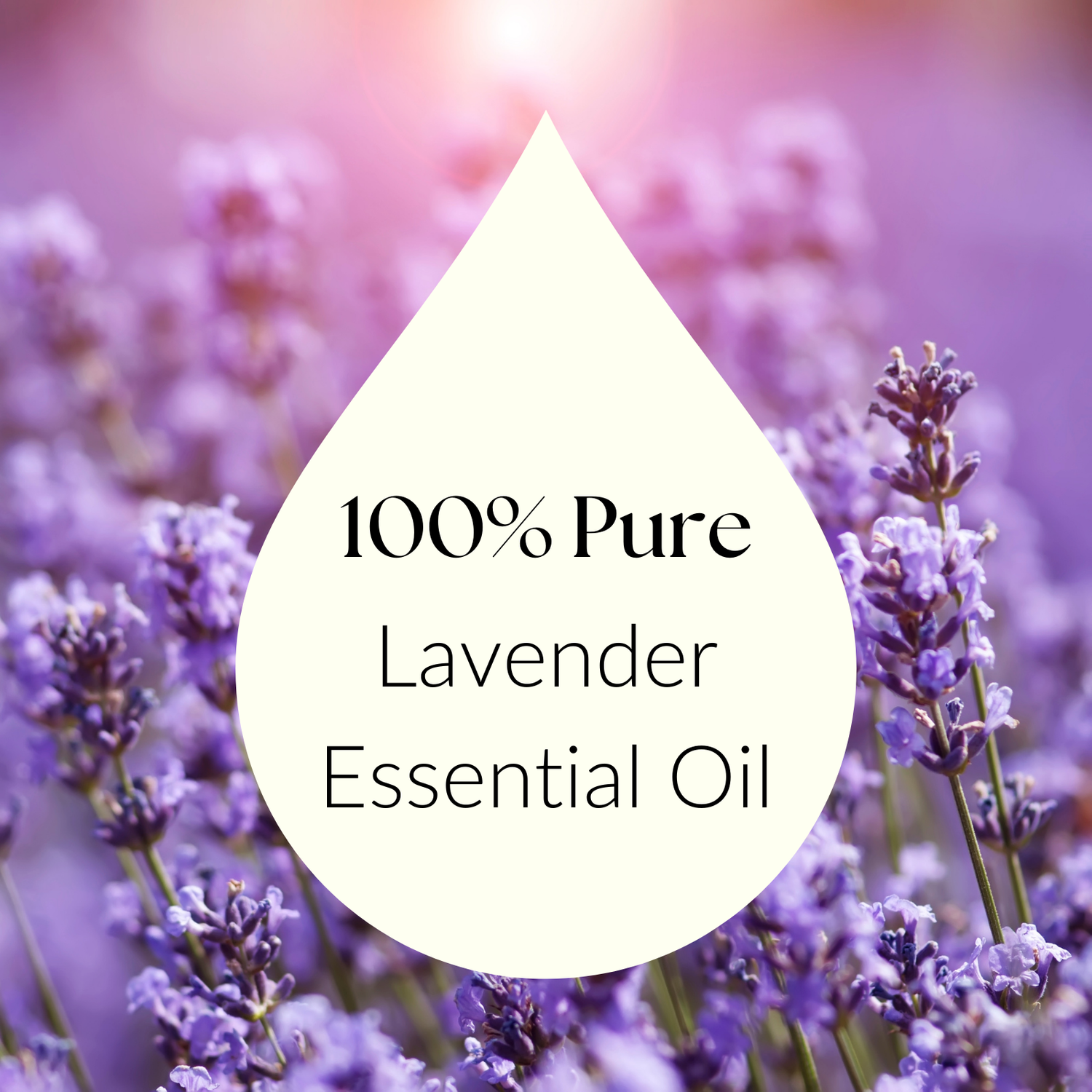 Lavender Essential Oil