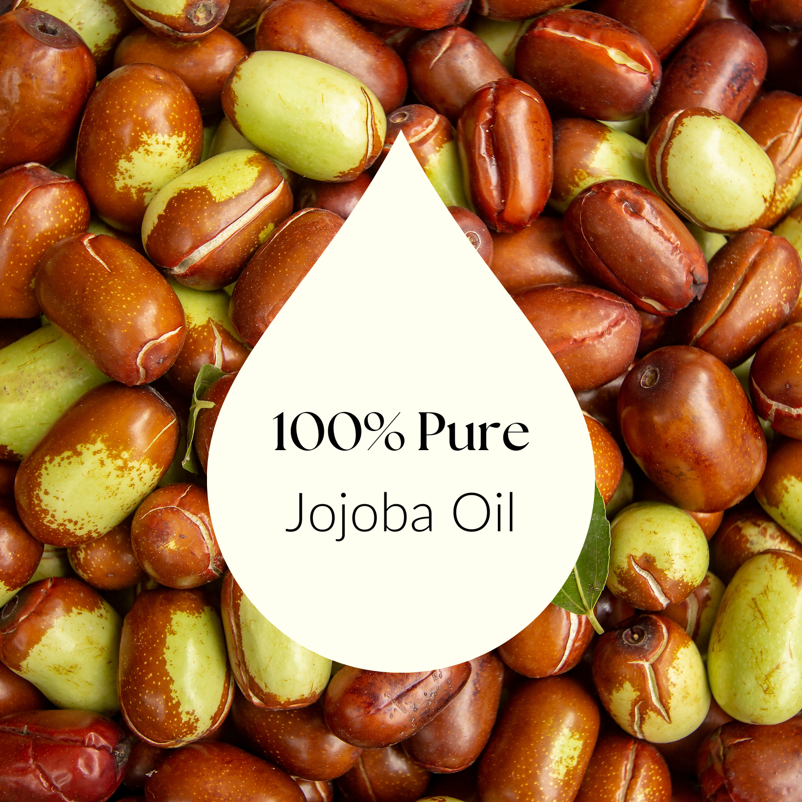 Jojoba Carrier Oil