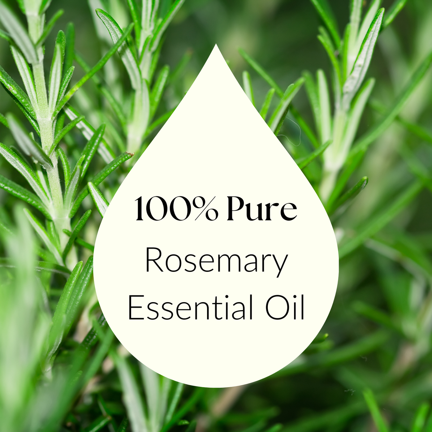 Rosemary Essential Oil